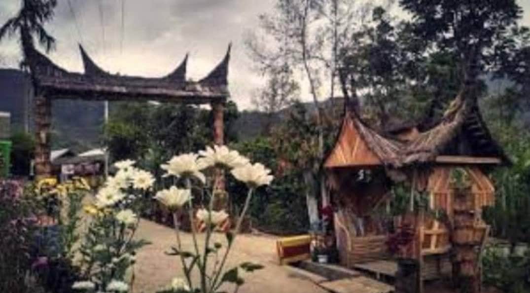 FB_IMG_1595910882326