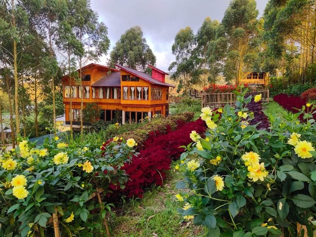 FB_IMG_1595910885439