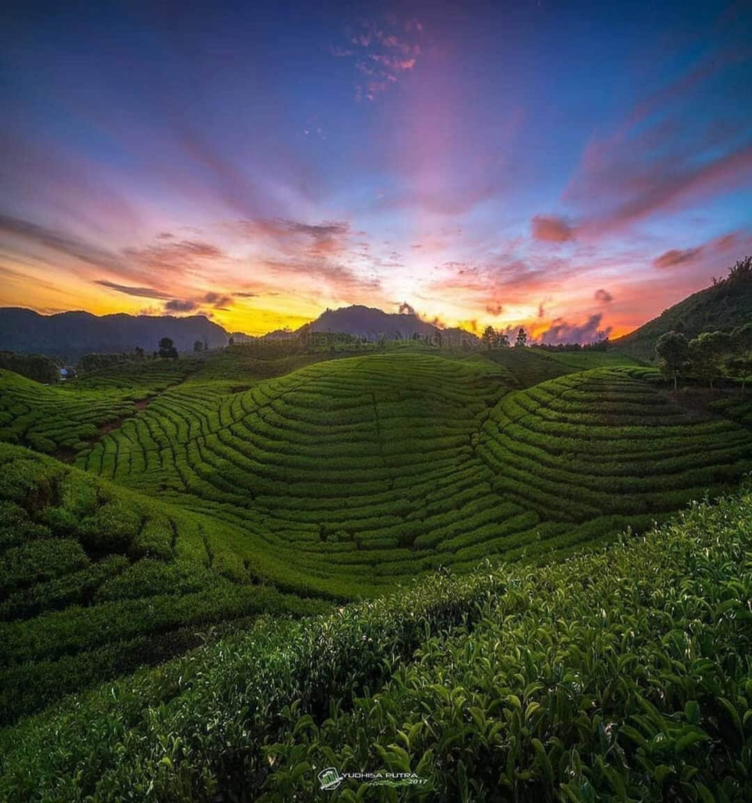 FB_IMG_1595910877566